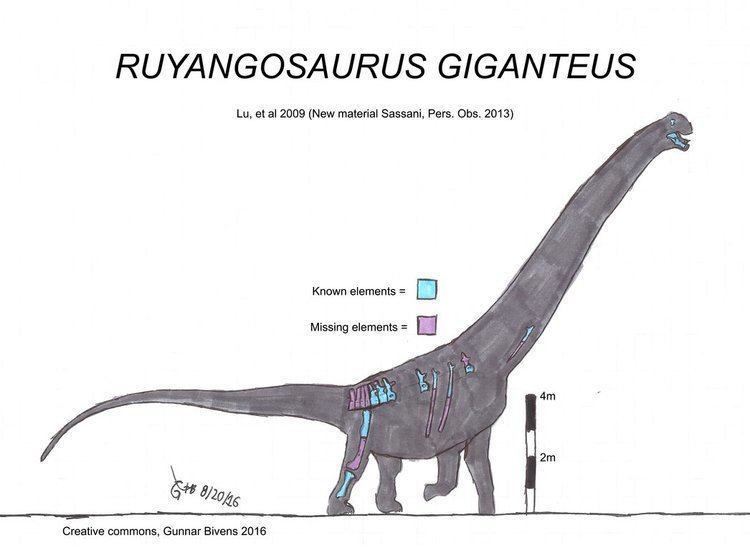 Ruyangosaurus Ruyangosaurus giganteus Skeletal by bricksmashtv on DeviantArt