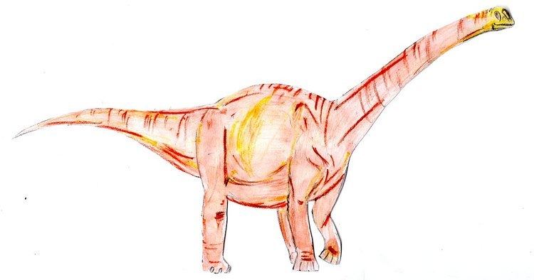 Ruyangosaurus Ruyangosaurus Wikipedia
