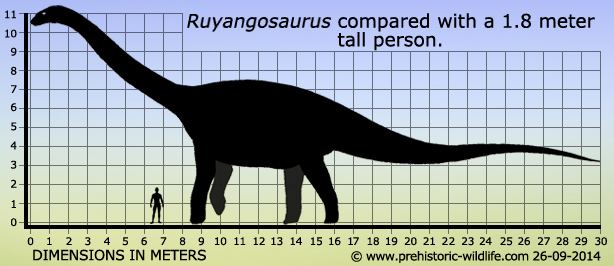 Ruyangosaurus wwwprehistoricwildlifecomimagesspeciesrruya