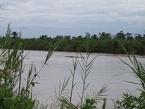 Ruzizi River httpsuploadwikimediaorgwikipediacommonsthu