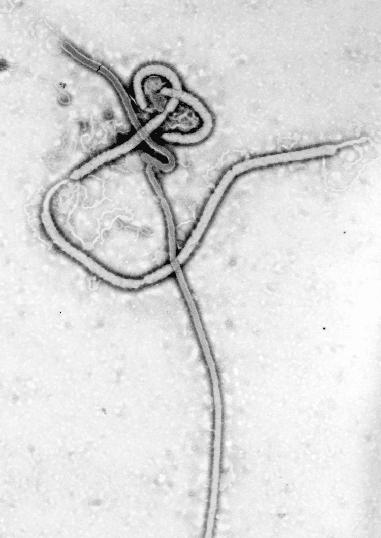 RVSV-ZEBOV vaccine