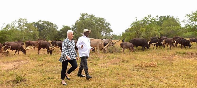 Rwakitura Museveni goes cattle herding with US Ambassador Deborah Malac in