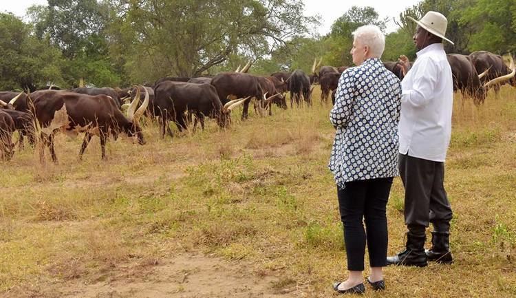 Rwakitura Museveni goes cattle herding with US Ambassador Deborah Malac in