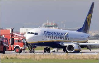 Ryanair Flight 4102 5 Ryanair Flight 4102 Top 10 Animal vs Aircraft Stories