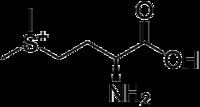 S-Methylmethionine httpsuploadwikimediaorgwikipediacommonsthu