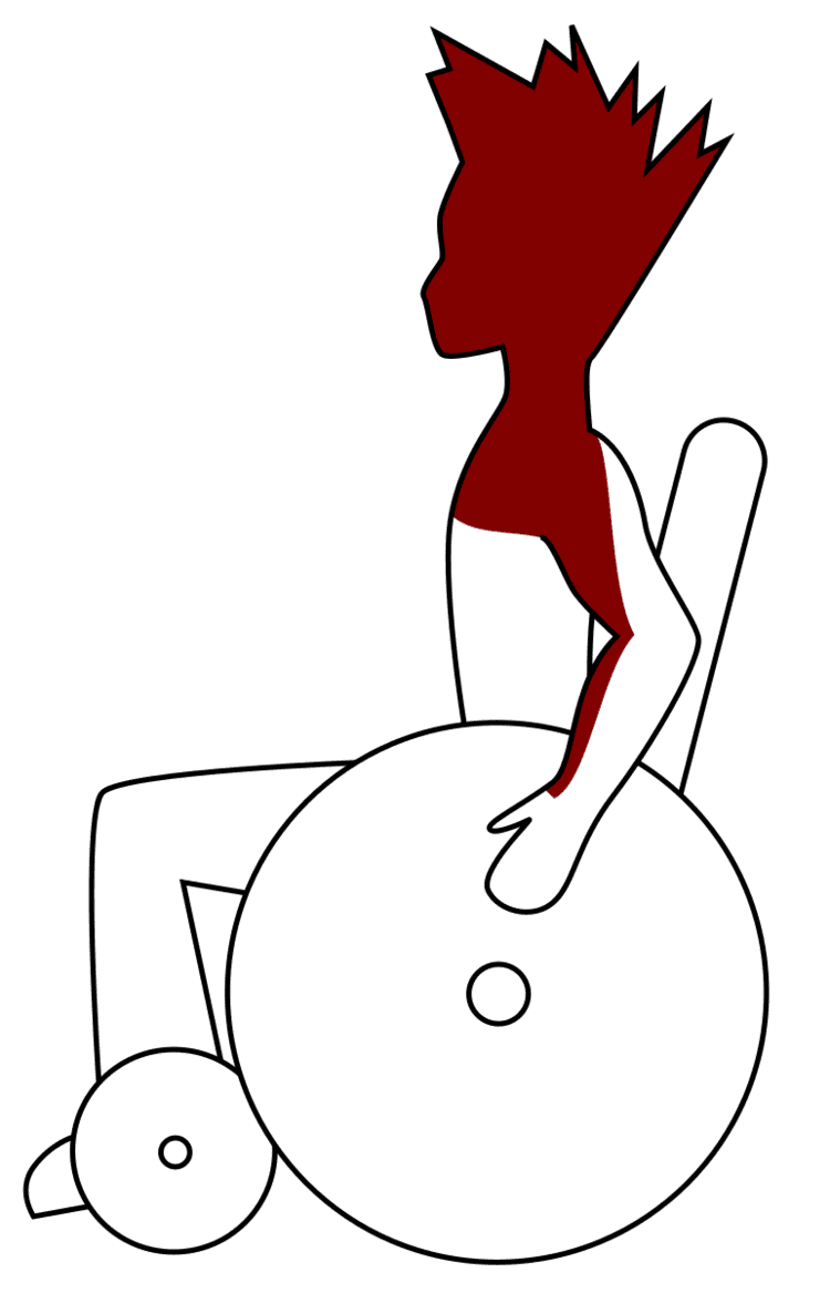 S1 (classification)