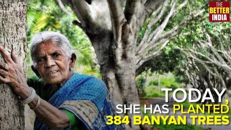 Saalumarada Thimmakka Saalumarada Thimmakka Mother to 384 Banyan Trees YouTube