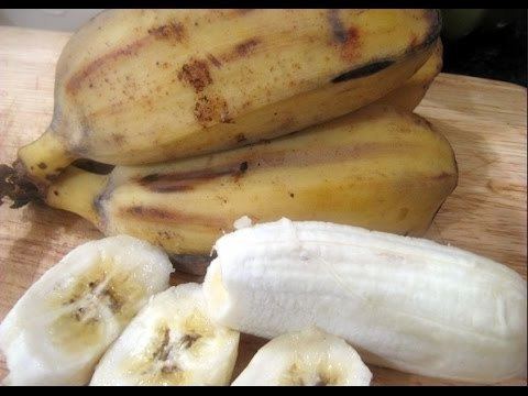 Saba banana Harvesting Saba Bananas Harvesting Saba Banana Tree YouTube