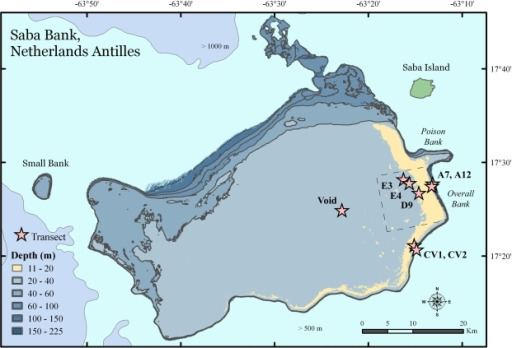 Saba Bank A map of Saba Bank in the Netherlands AntillesSaba Ba Openi
