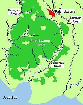 Sabangau National Park Sabangau National Park Wikipedia