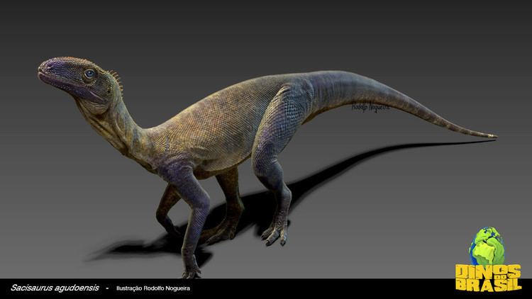 Sacisaurus Dinos do Brasil