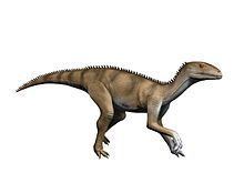 Sacisaurus httpsuploadwikimediaorgwikipediacommonsthu