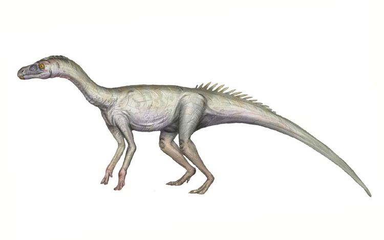 Sacisaurus sacisaurus DeviantArt