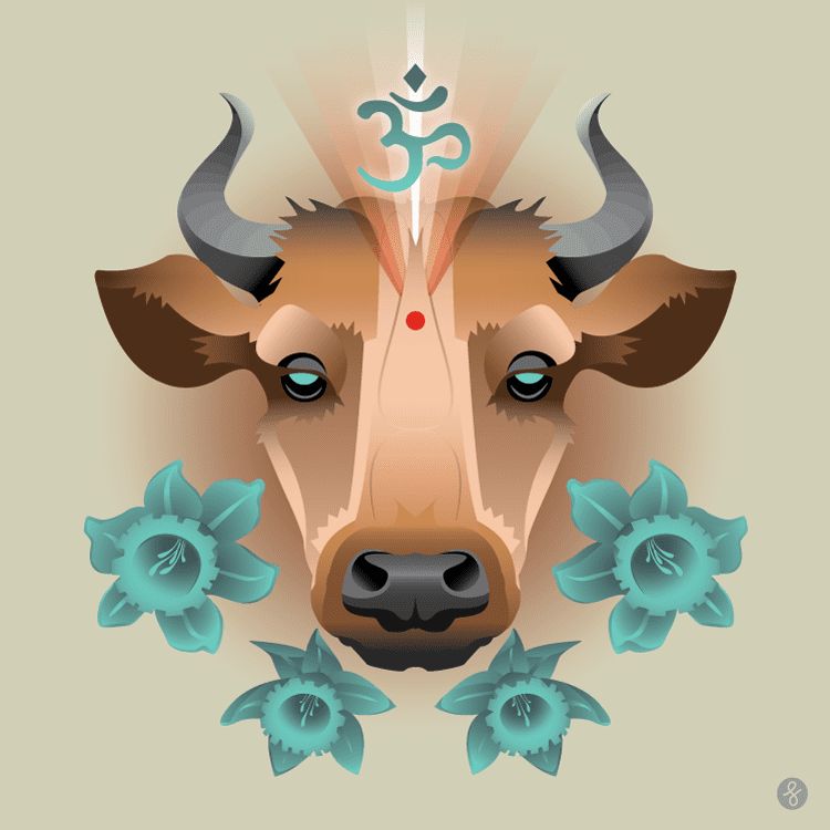 Sacred cow (idiom) forrest baer Sacred Cow