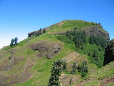 Saddle Mountain (Clatsop County, Oregon) wwworegonhikersorgwimagesthumb444Saddlesum