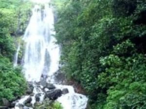 Sadni Falls beautyspotsofindiacomwpcontentuploads201403