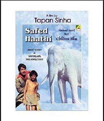 Amazonin Buy Safed Haathi DVD Bluray Online at Best Prices in