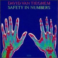 Safety in Numbers (David Van Tieghem album) httpsuploadwikimediaorgwikipediaen112Saf