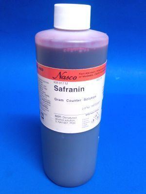 Safranin Buy Safranin Staining Solution Science Stuff