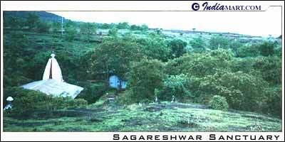 Sagareshwar Wildlife Sanctuary Sagareshwar Wildlife Sanctuary Wildlife Species Wildlife of