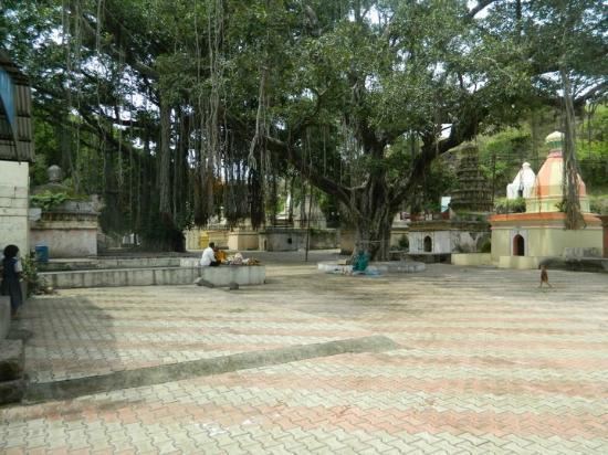 Sagareshwar Wildlife Sanctuary Old remains at Sagreshwar Temple Picture of Sagareshwar Wildlife