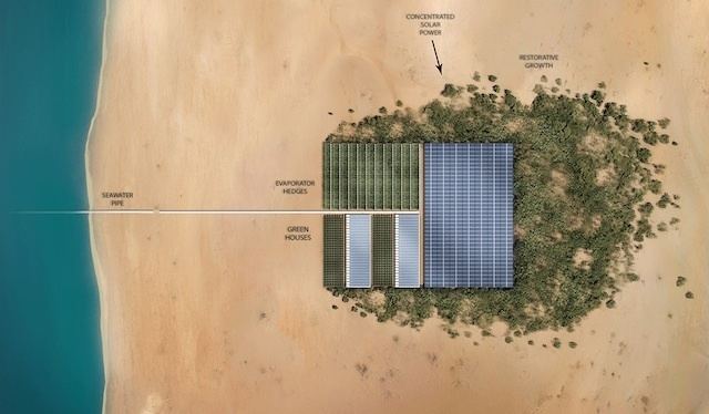 Sahara Forest Project Sahara Forest Project Grows Food And Biofuel CleanTechnica