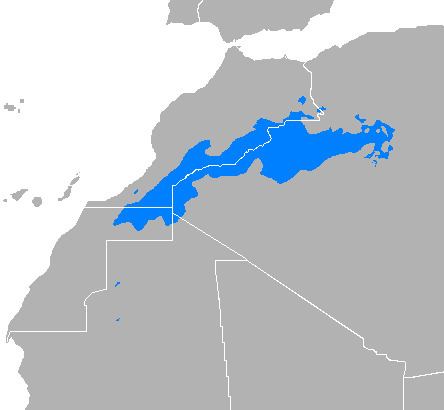 Saharan Arabic