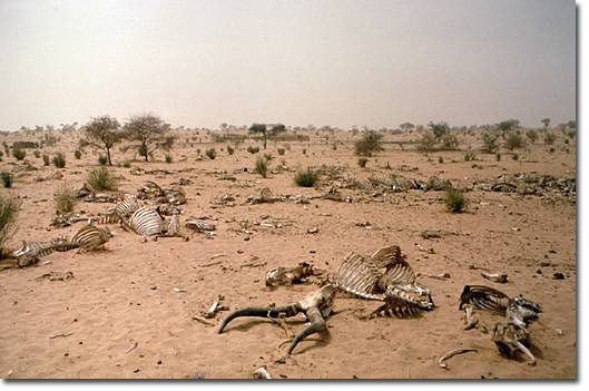 Sahel drought Abrupt Climate Change and the GeoEngineering Trick That Can Stop