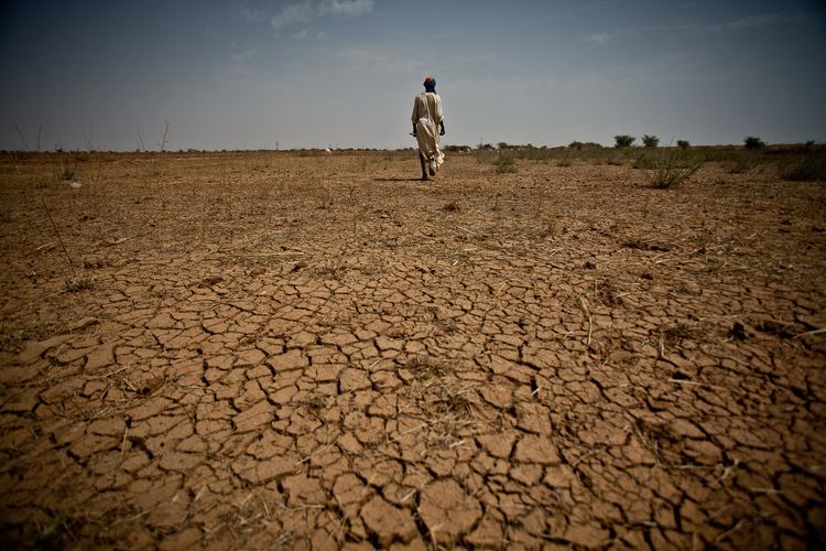 Sahel drought Sahel Drought displacement and conflict leave 20 million food