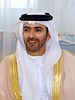 Saif bin Zayed Al Nahyan httpsuploadwikimediaorgwikipediacommonsthu