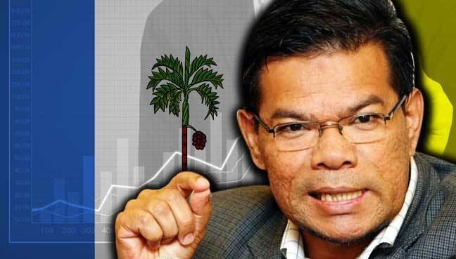 Saifuddin Nasution Ismail Factcheck before bashing Penangs FDI says Saifuddin Free