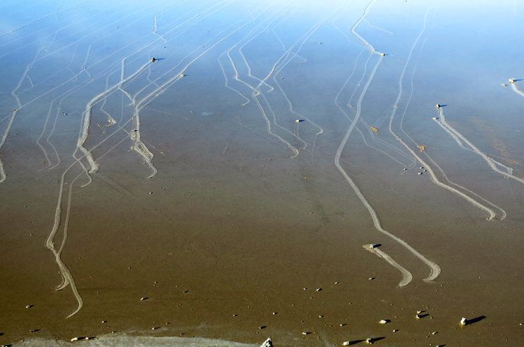 Sailing stones Death Valley Sailing Stones Caught in Action for First Time