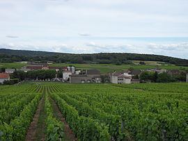 Saint-Gengoux-de-Scissé httpsuploadwikimediaorgwikipediacommonsthu