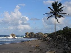 Saint Joseph, Barbados httpsuploadwikimediaorgwikipediacommonsthu