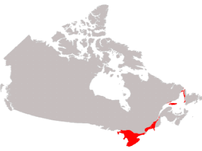 Saint Lawrence Lowlands Social Studies Regions of Canada Great Lakes amp St Lawrence