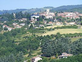 Saint-Martin-la-Plaine httpsuploadwikimediaorgwikipediacommonsthu