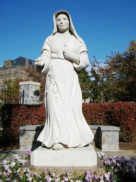 Saint Mother Théodore Guérin (Clark) httpsuploadwikimediaorgwikipediaen55cSai