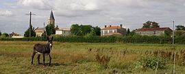 Saint-Pierre-le-Vieux, Vendée httpsuploadwikimediaorgwikipediacommonsthu