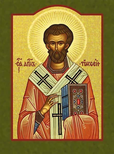 Saint Timothy httpsuploadwikimediaorgwikipediacommonsdd