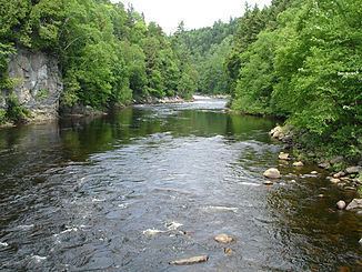 Sainte-Anne-du-Nord River httpsuploadwikimediaorgwikipediacommonsthu