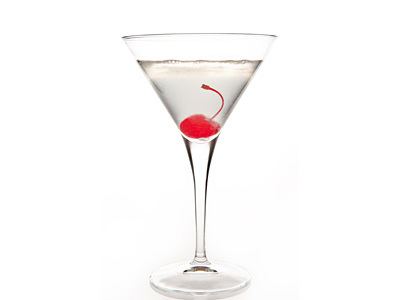 Saketini Saketini Sake Martini Recipe Vodka Martini with Japanese Sake