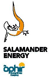 Salamander Energy httpsuploadwikimediaorgwikipediaen66eSal