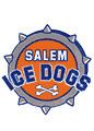 Salem Ice Dogs httpsuploadwikimediaorgwikipediaenaadSal