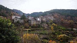 Saliceto, Haute-Corse httpsuploadwikimediaorgwikipediacommonsthu