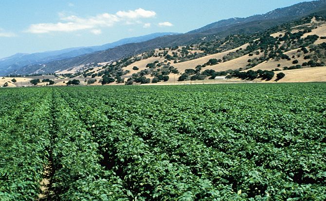 Salinas, California Beautiful Landscapes of Salinas, California