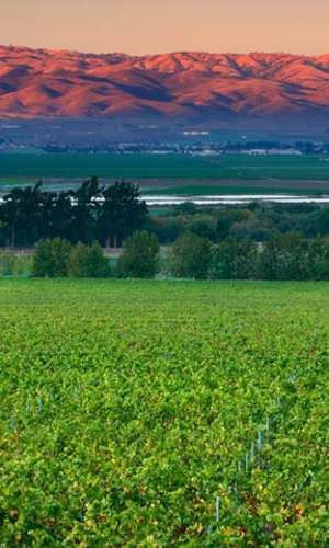 Salinas Valley Salinas Valley CA Wine Country Wineries Hotels