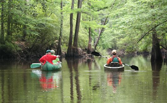 Saline Bayou Saline Bayou an Abundant Tributary Choose Central Louisiana