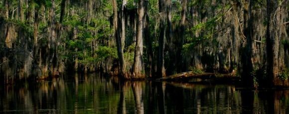 Saline Bayou City of Winnfield Saline Lake and Saline Bayou