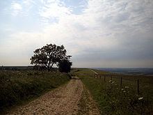 Salisbury Plain httpsuploadwikimediaorgwikipediacommonsthu