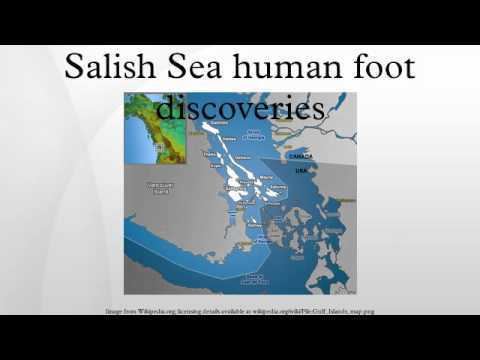 Salish Sea human foot discoveries Salish Sea human foot discoveries YouTube